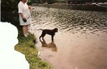 WaterDog_4 months